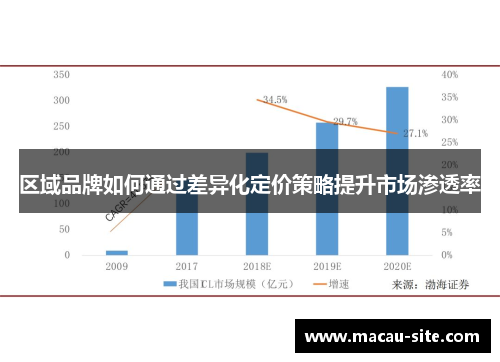 区域品牌如何通过差异化定价策略提升市场渗透率
